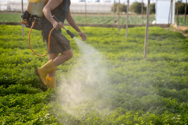 Best Affordable Exterminators  in Riley, KS