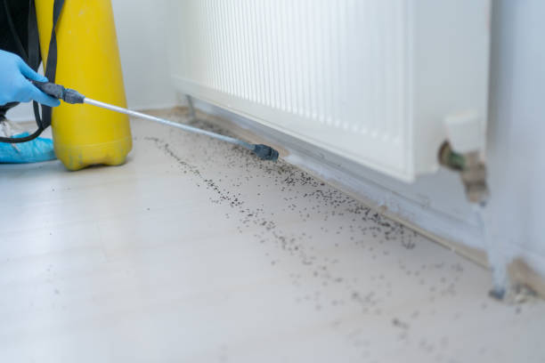 Best Pest Inspection Near Me  in Riley, KS