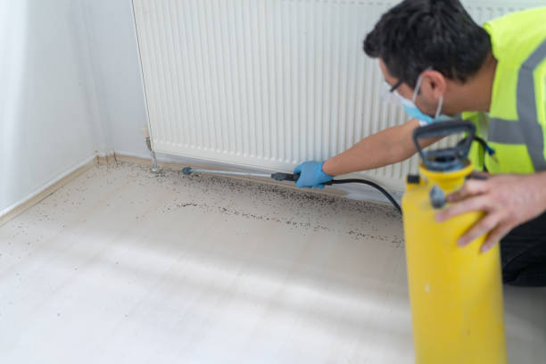 Best Pest Control Treatment  in Riley, KS