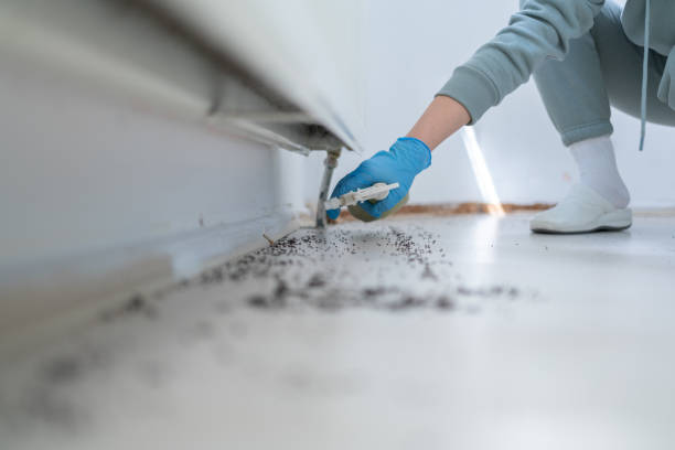 Flea Control Services in Riley, KS
